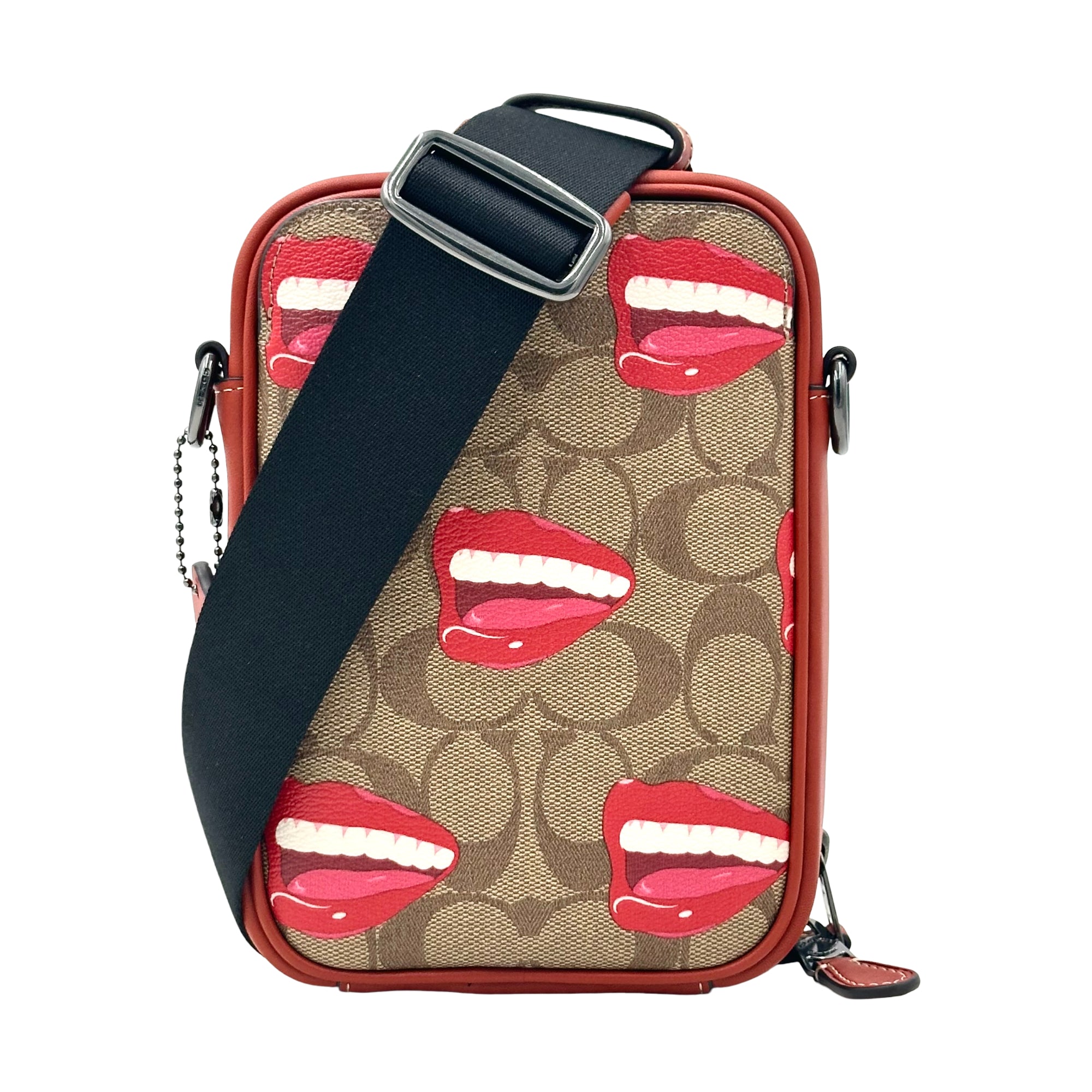 Coach X Tom Wesselmann Stanton Crossbody In Signature Canvas - Brown Multi