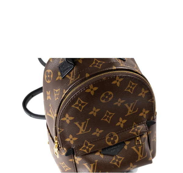 Louis Vuitton Palm Springs Backpack Mini Brown Canvas .- Pristine Condition