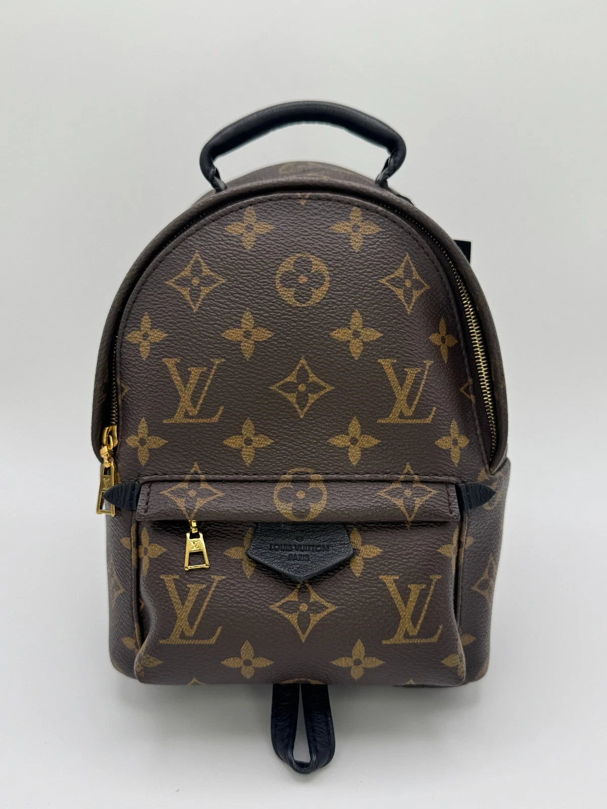 Louis Vuitton Palm Springs Backpack Mini Brown Canvas - pre loved