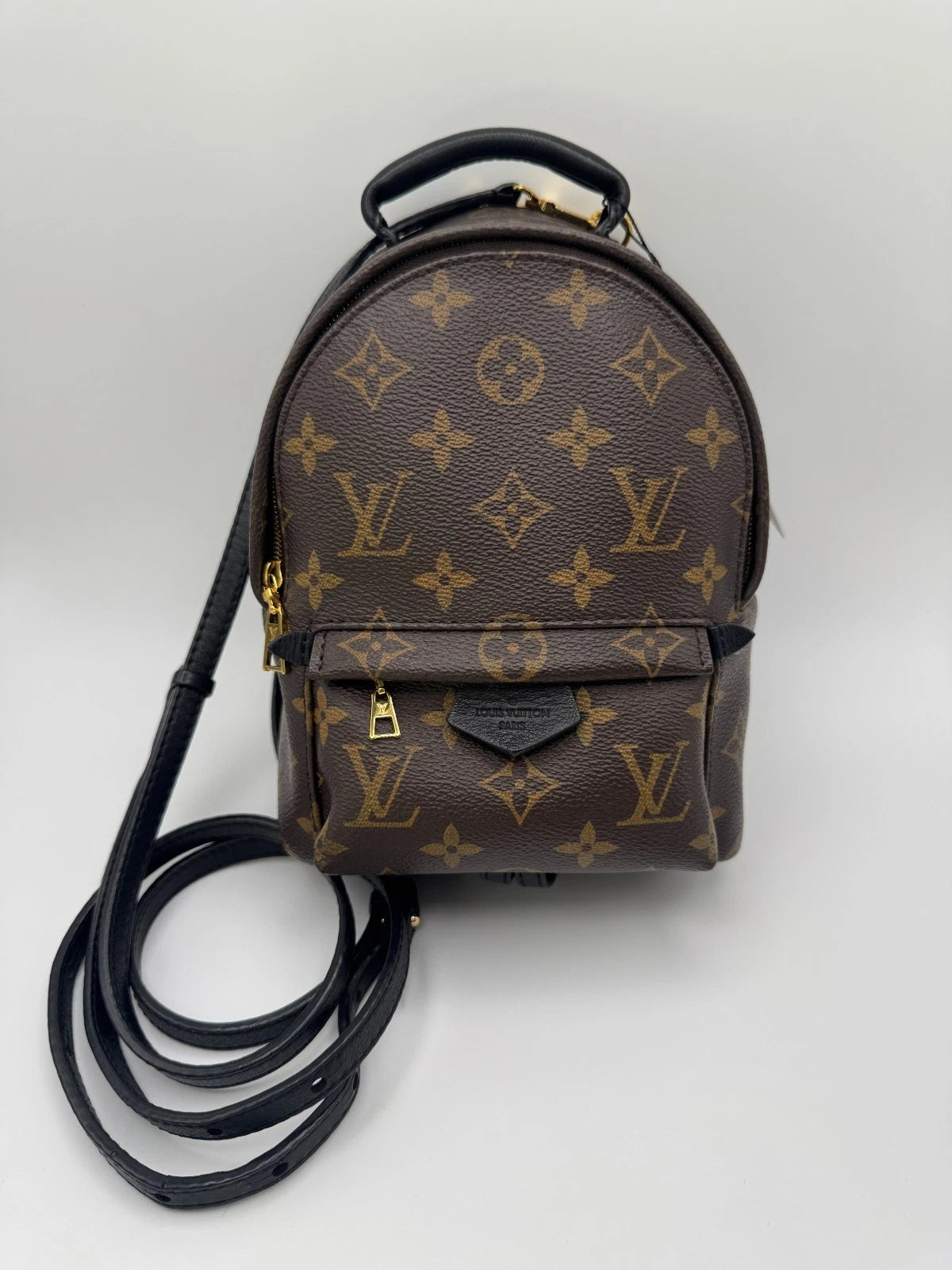 Louis Vuitton Palm Springs Backpack Mini Brown Canvas - pre loved